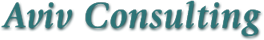 aviv consulting