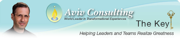 aviv consulting logo